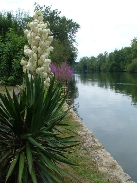 Mansle-les-Fontaines La Fontaine Des Arts Bed & Breakfast エクステリア 写真